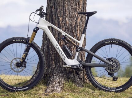 nowy e-canyon oparty o drzewo